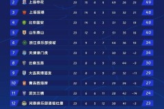 云南玉昆VS上海申花：绿茵场进球大战，激烈对决全程回顾